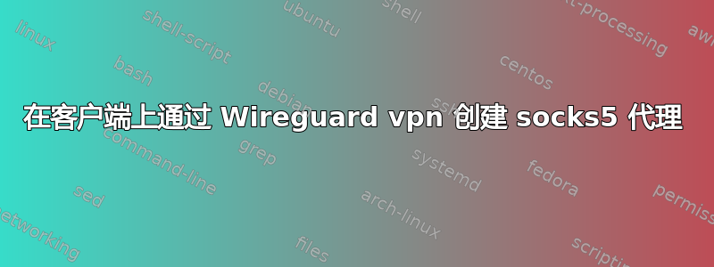 在客户端上通过 Wireguard vpn 创建 socks5 代理