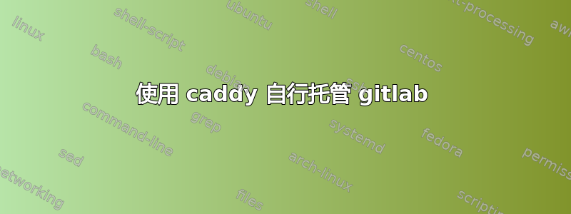 使用 caddy 自行托管 gitlab