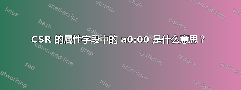 CSR 的属性字段中的 a0:00 是什么意思？