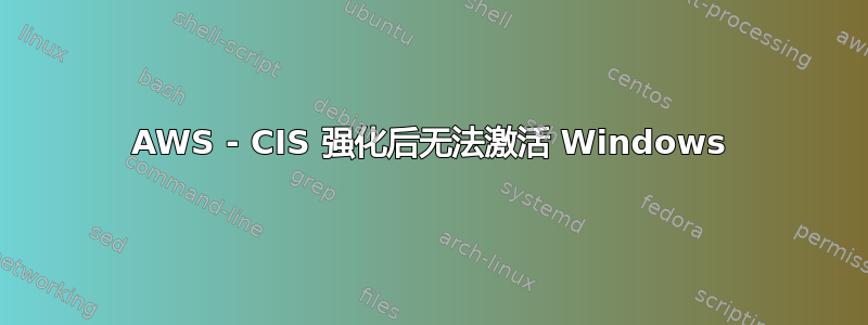 AWS - CIS 强化后无法激活 Windows