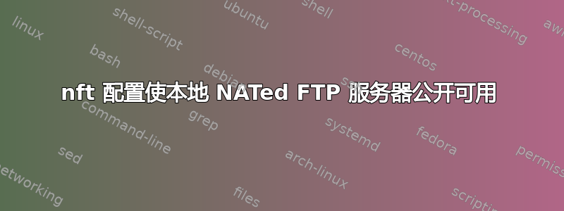 nft 配置使本地 NATed FTP 服务器公开可用