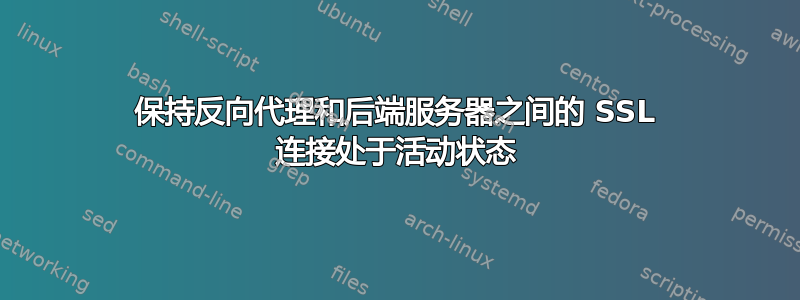 保持反向代理和后端服务器之间的 SSL 连接处于活动状态