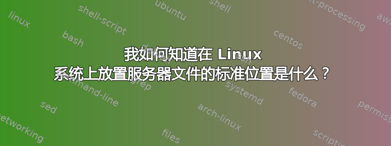 我如何知道在 Linux 系统上放置服务器文件的标准位置是什么？