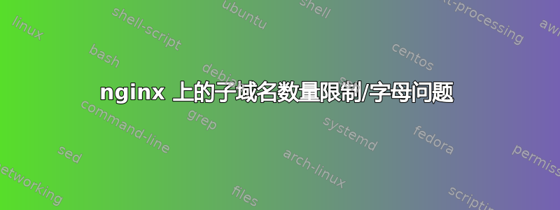 nginx 上的子域名数量限制/字母问题