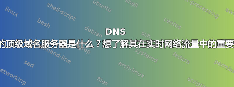 DNS 中的顶级域名服务器是什么？想了解其在实时网络流量中的重要性