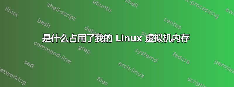 是什么占用了我的 Linux 虚拟机内存