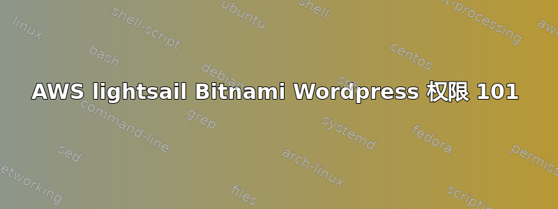 AWS lightsail Bitnami Wordpress 权限 101