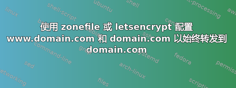 使用 zonefile 或 letsencrypt 配置 www.domain.com 和 domain.com 以始终转发到 domain.com