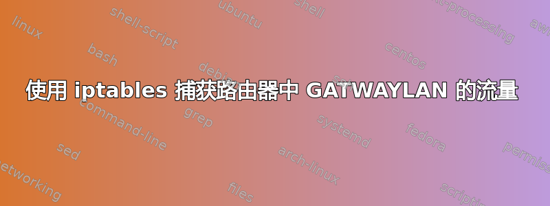 使用 iptables 捕获路由器中 GATWAYLAN 的流量