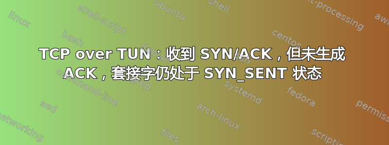 TCP over TUN：收到 SYN/ACK，但未生成 ACK，套接字仍处于 SYN_SENT 状态