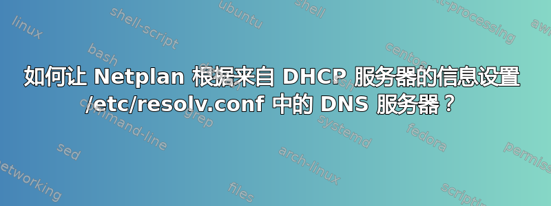 如何让 Netplan 根据来自 DHCP 服务器的信息设置 /etc/resolv.conf 中的 DNS 服务器？