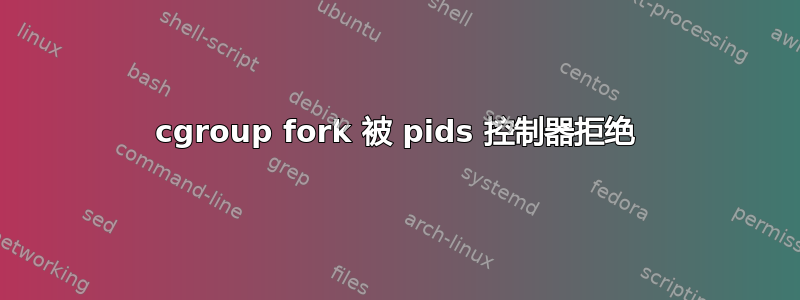 cgroup fork 被 pids 控制器拒绝