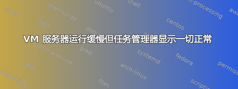 VM 服务器运行缓慢但任务管理器显示一切正常