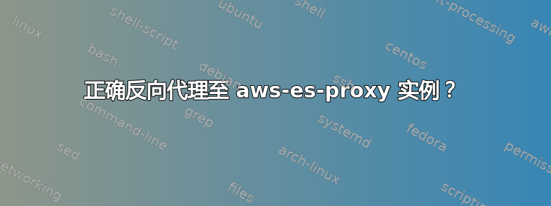 正确反向代理至 aws-es-proxy 实例？