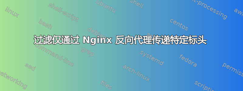 过滤仅通过 Nginx 反向代理传递特定标头