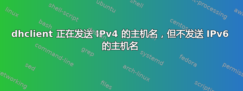 dhclient 正在发送 IPv4 的主机名，但不发送 IPv6 的主机名