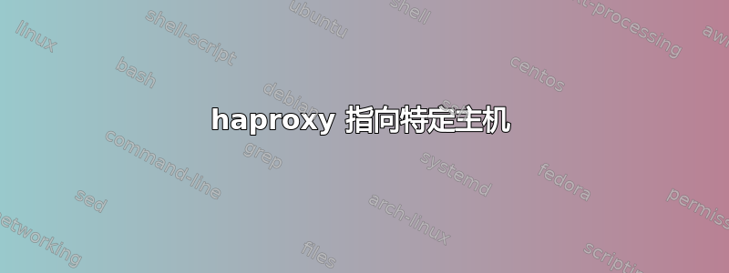 haproxy 指向特定主机