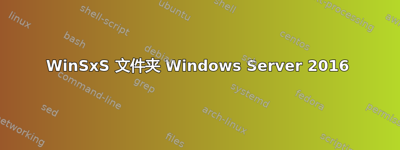 WinSxS 文件夹 Windows Server 2016