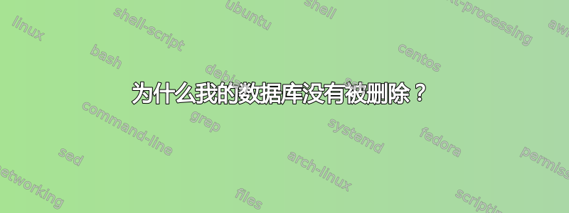 为什么我的数据库没有被删除？