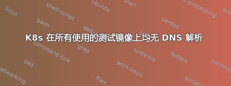 K8s 在所有使用的测试镜像上均无 DNS 解析