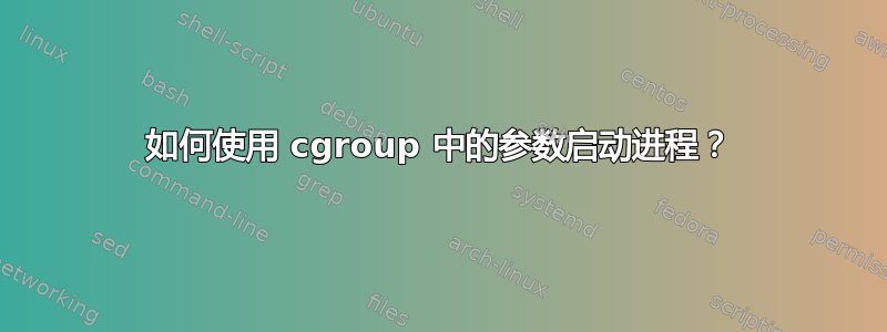 如何使用 cgroup 中的参数启动进程？