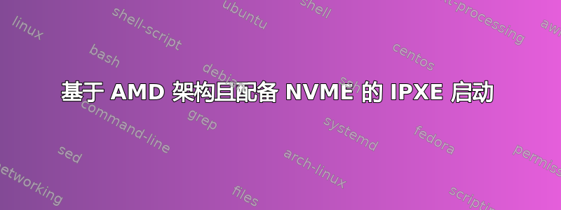 基于 AMD 架构且配备 NVME 的 IPXE 启动