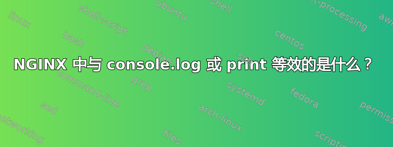 NGINX 中与 console.log 或 print 等效的是什么？