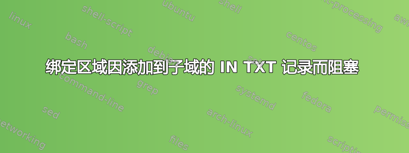 绑定区域因添加到子域的 IN TXT 记录而阻塞