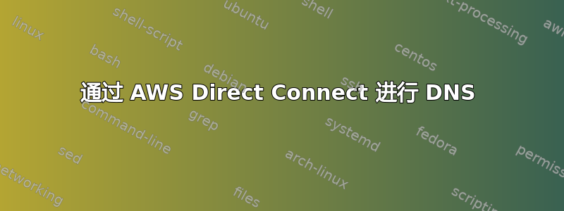 通过 AWS Direct Connect 进行 DNS