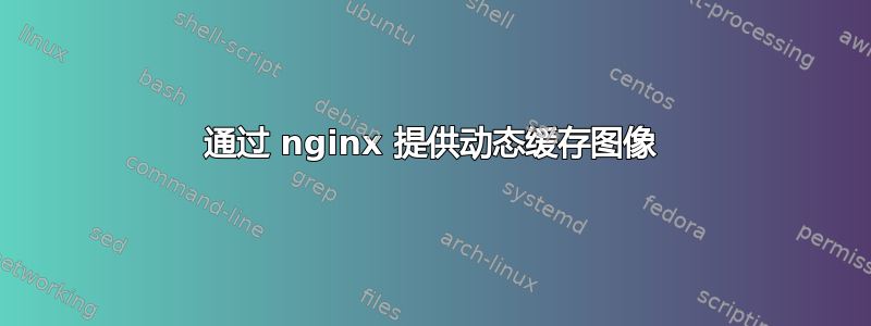 通过 nginx 提供动态缓存图像