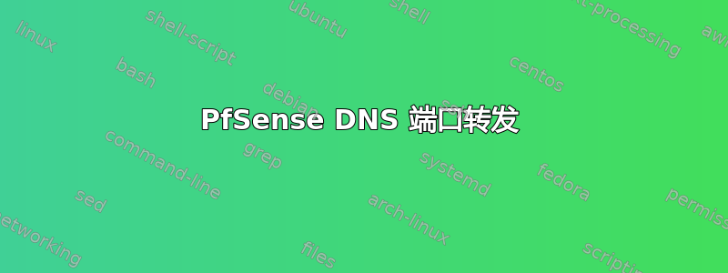 PfSense DNS 端口转发