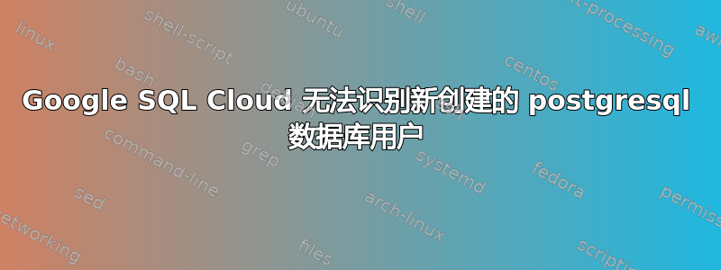 Google SQL Cloud 无法识别新创建的 postgresql 数据库用户