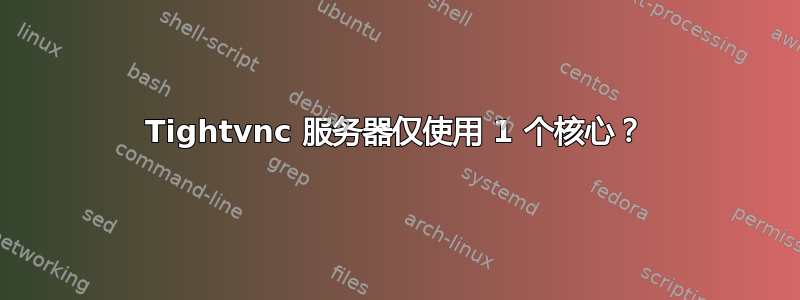 Tightvnc 服务器仅使用 1 个核心？