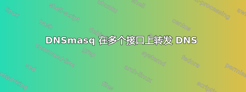 DNSmasq 在多个接口上转发 DNS