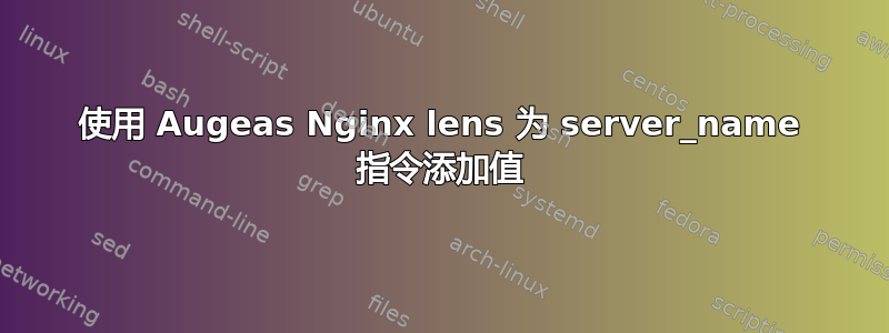 使用 Augeas Nginx lens 为 server_name 指令添加值