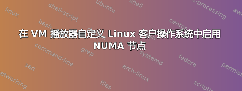 在 VM 播放器自定义 Linux 客户操作系统中启用 NUMA 节点