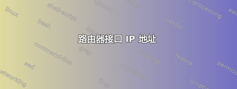 路由器接口 IP 地址