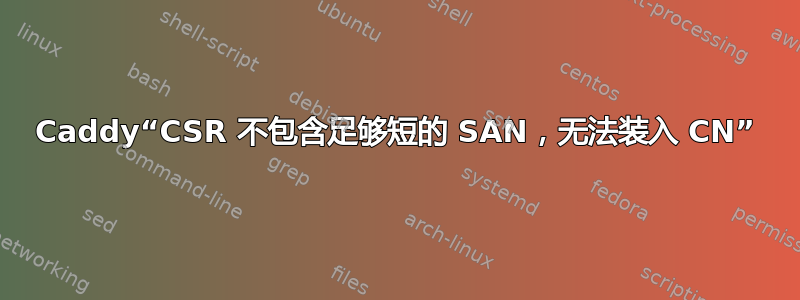 Caddy“CSR 不包含足够短的 SAN，无法装入 CN”