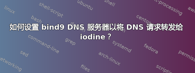 如何设置 bind9 DNS 服务器以将 DNS 请求转发给 iodine？