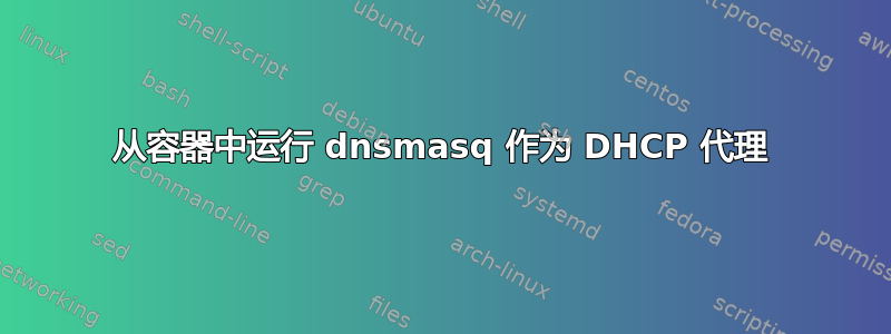 从容器中运行 dnsmasq 作为 DHCP 代理