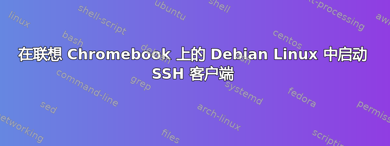 在联想 Chromebook 上的 Debian Linux 中启动 SSH 客户端