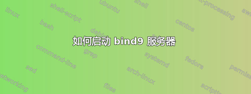 如何启动 bind9 服务器