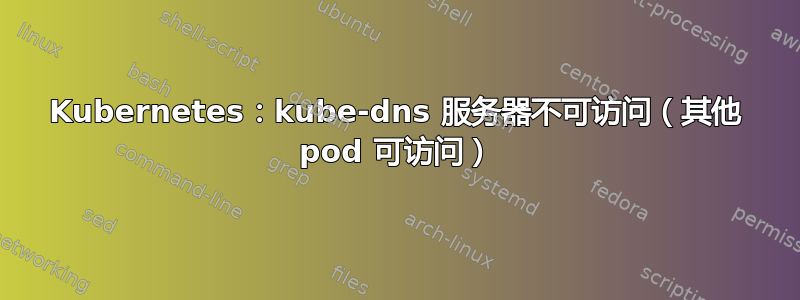 Kubernetes：kube-dns 服务器不可访问（其他 pod 可访问）