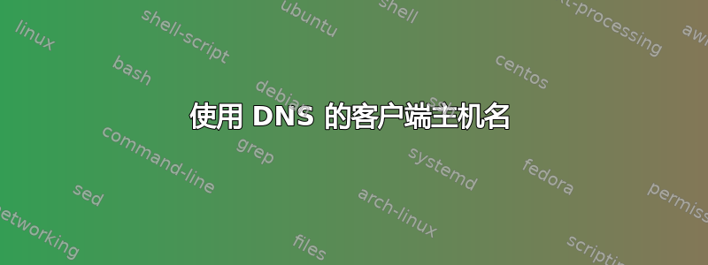 使用 DNS 的客户端主机名