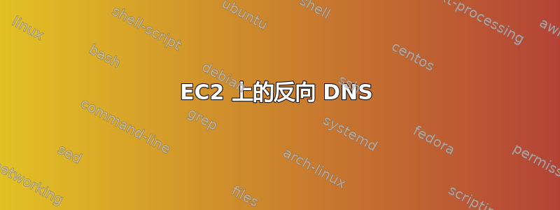 EC2 上的反向 DNS