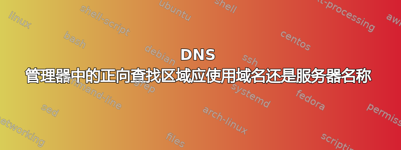 DNS 管理器中的正向查找区域应使用域名还是服务器名称