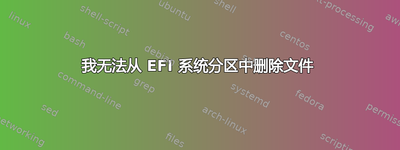 我无法从 EFI 系统分区中删除文件