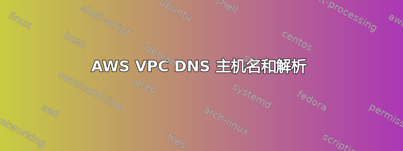 AWS VPC DNS 主机名和解析