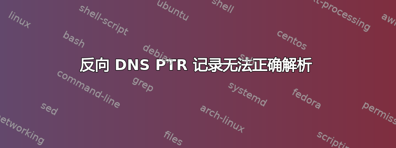 反向 DNS PTR 记录无法正确解析