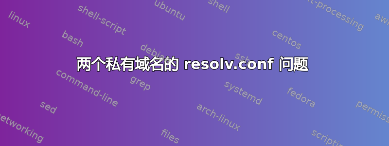 两个私有域名的 resolv.conf 问题